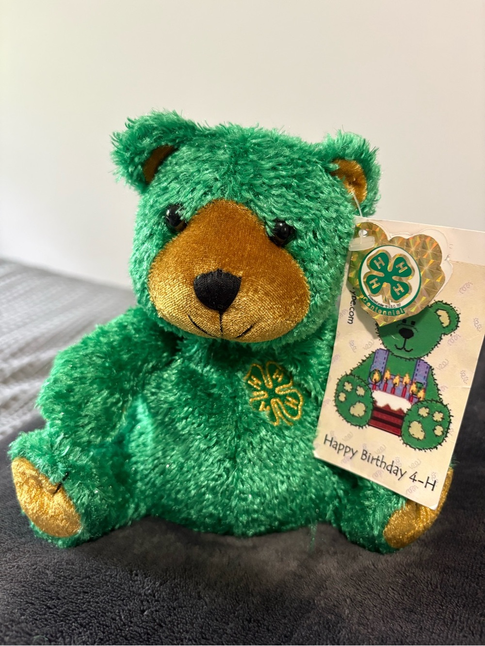 Green Plush 4-H Bear with Gold Accents - Collectible Stuffed Animal